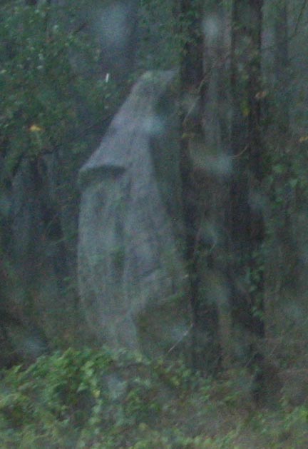 Full Body Manifestation, Image source: http://www.clevelandsupernatural.com